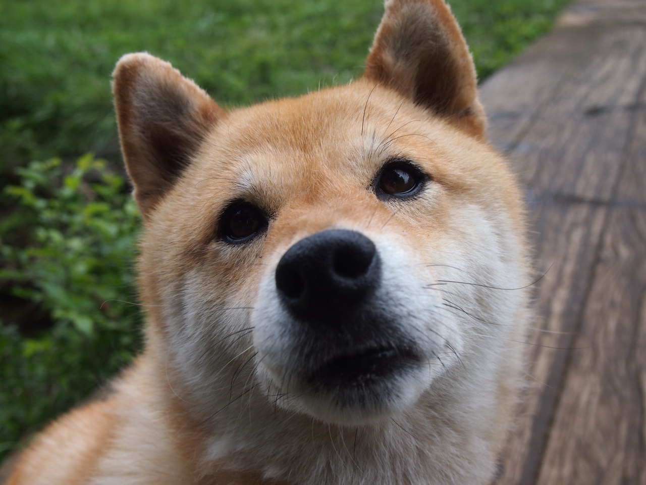 凯尔特人新秀被哈佛邀请演讲，主题聚焦团队与信任，凯尔特人 新秀