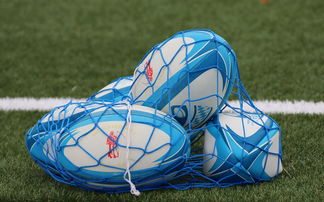 开云体育平台-法国橄榄球赛事的票房和赞助收入创历史新高，法国橄榄球国家队